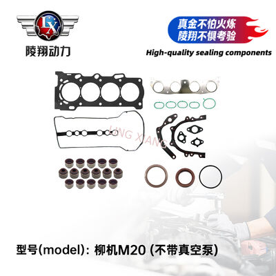 LIUJI LJM20B OVERHAUL PACKAGE Cylinder Head Gasket Set Complete Gasket Kit