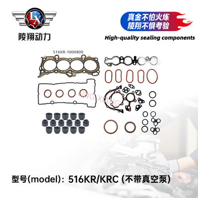 Dongan DAM16 KR1.6 L Engine Overhaul Overhaul Package Complete Repair Set