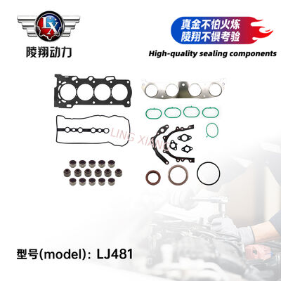 LJ481 Engine Overhaul Package For LJ481 LJ481Q6 LJ481QS6 2.0L